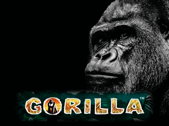 Gorilla